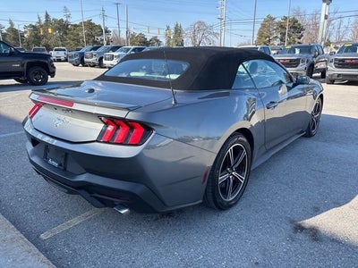 2024 Ford Mustang EcoBoost
