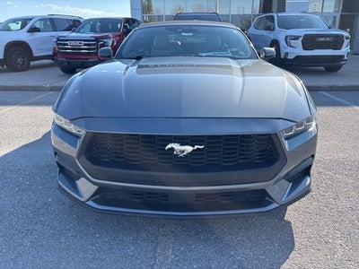 2024 Ford Mustang EcoBoost